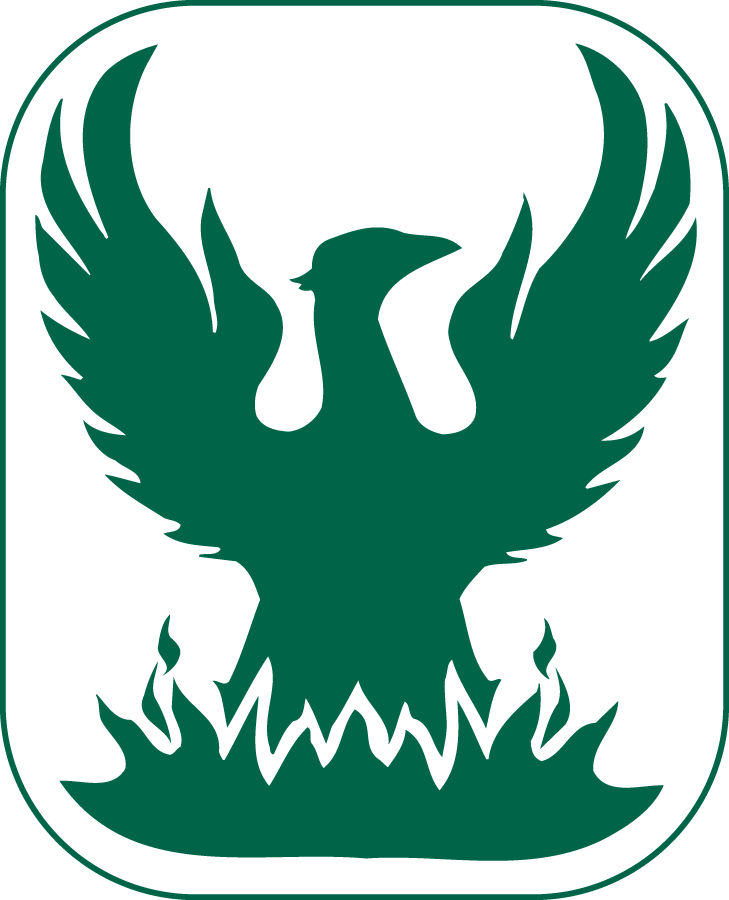 Wisconsin-Green Bay Phoenix 1992-1997 Primary Logo diy iron on heat transfer